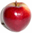 crimson-red apple crimson-red apple