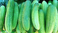 fresh cucumbers