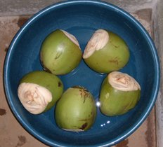 tender coconuts ready for drink