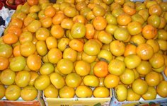Persimmons in a Korean market