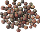 Allspice corns