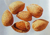 almond nuts in shell