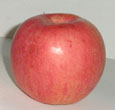 apple-red