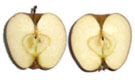 apple sections