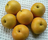 asian pears- nashi