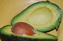 avocado-persea americana, cut section with large single avocado seed inside.
