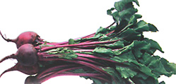 beets-with-greens