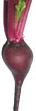 beets