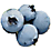 blueberries