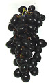 Blue black variety
