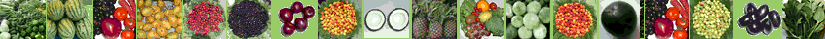 bottom image for nutrition-and-you.com