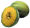 Muskmelon