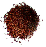 caraway seeds-carum carvi