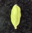 cardamom pod