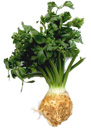 celeriac