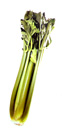 celery sticks