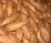 chinese yams
