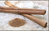 cinnamon