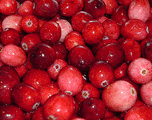 red cranberries