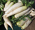 winter daikon