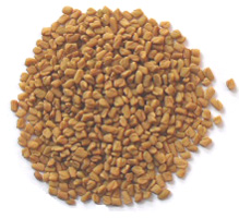 fenugreek seeds - Trigonella-foenum-graecum