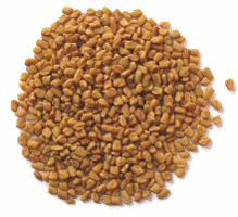 fenugreek seeds - Trigonella-foenum-graecum