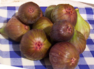 figs11