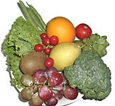 food nutrition