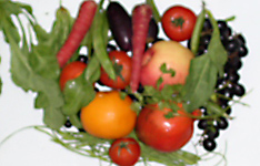 fruit and vegetables rich in carotenes