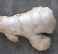 ginger