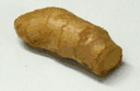 Ginger root