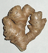 root ginger