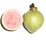 guava