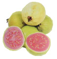 Guava fruits