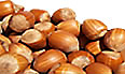 hazel nuts