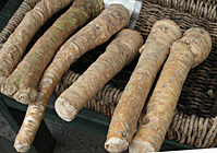 horseradish roots