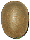 kiwifruit