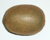 kiwifruit-chinese gooseberry