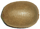 kiwifruit
