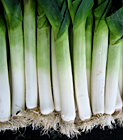 leeks