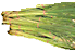 lemongrass herb