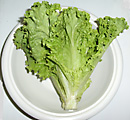 lettuce lettuce