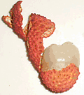 Litchi-peeled