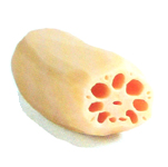 lotus root