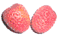lychee