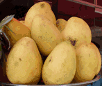 mangoes