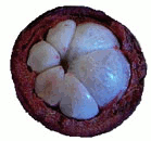 mangosteen cut section showing arils