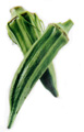 Okra pods