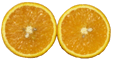 Orange-fruit-section