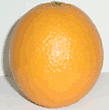mandarine orange